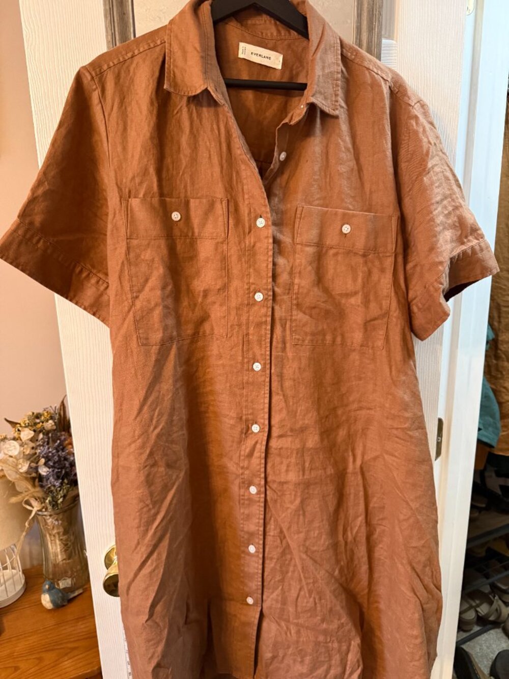 Everlane Daytripper Shirt Dress